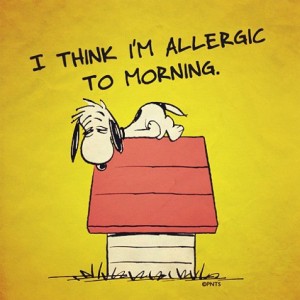 allergic to morning