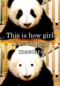 panda-mascara