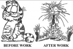 Garfield-after work