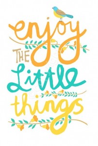 enjoy little things