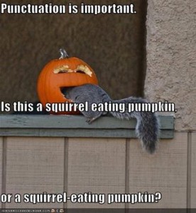 squirrel eating pumpkin