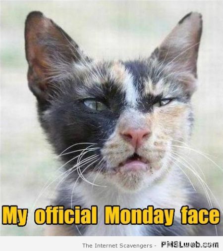 Monday face