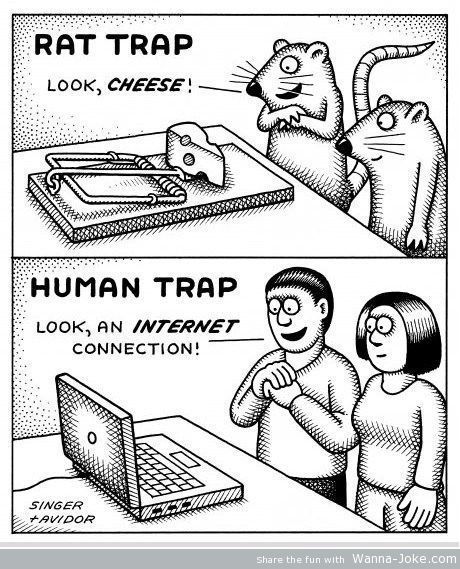 human trap - internet