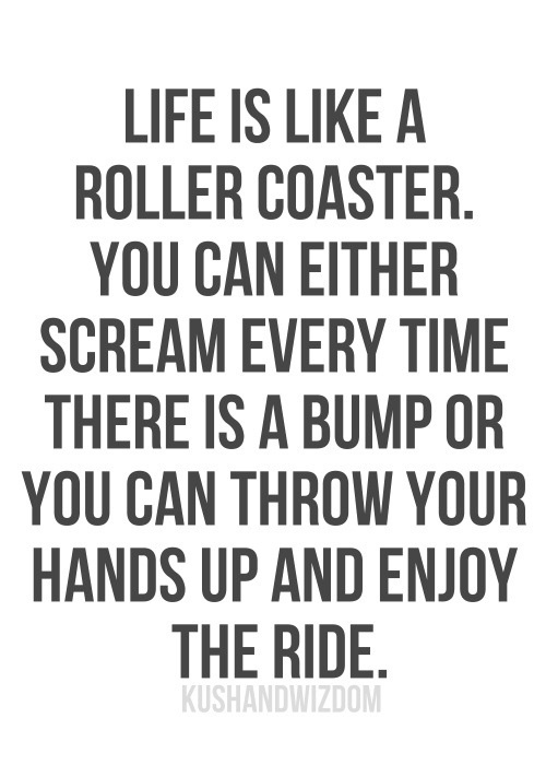 life-roller coaster