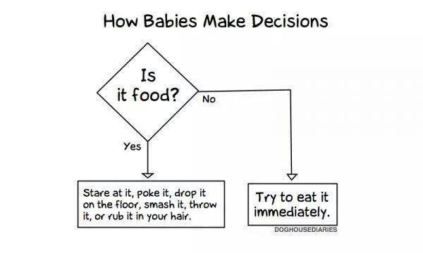 babaies-decisions-food