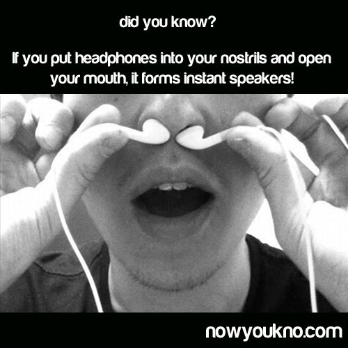 nose headphones