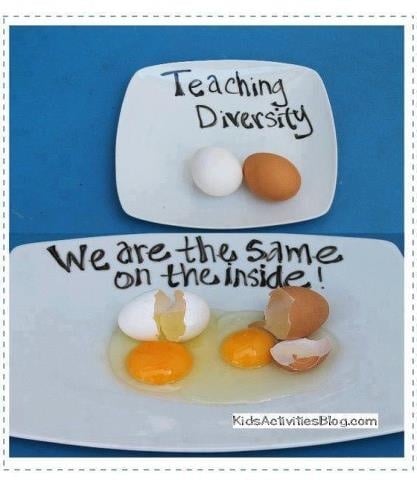 teaching diversity
