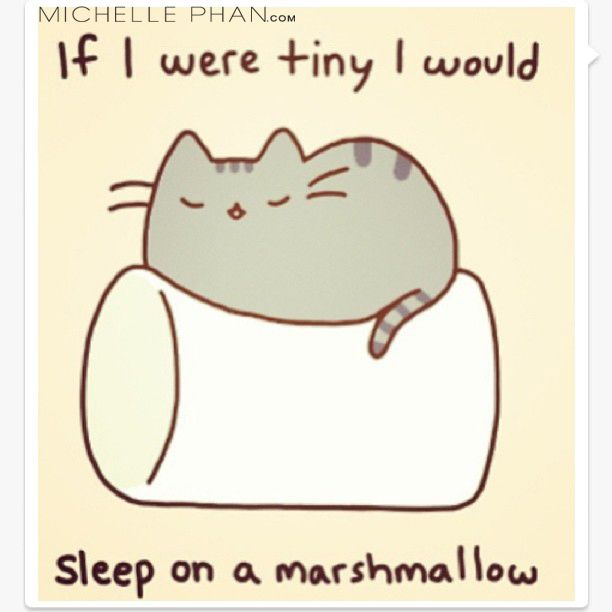 tiny cat marshmallow