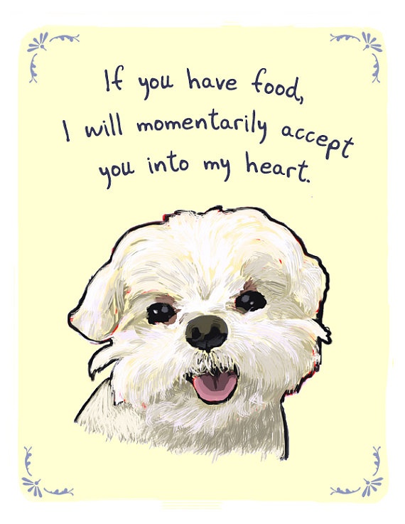 dog food heart