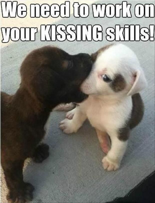 kissing skills puppies
