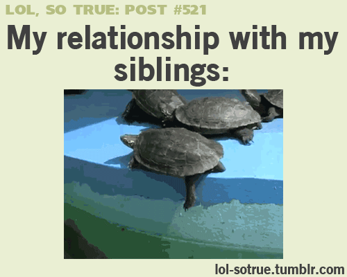 relationship-siblings