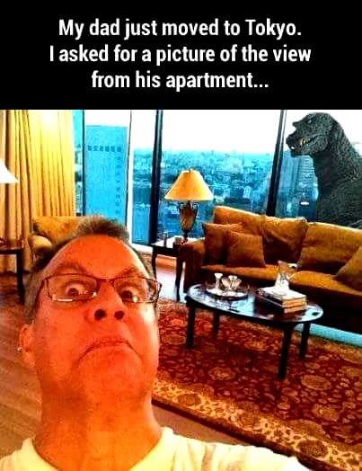 dad view Tokyo apartment