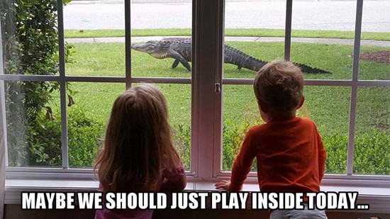 play inside crocodile
