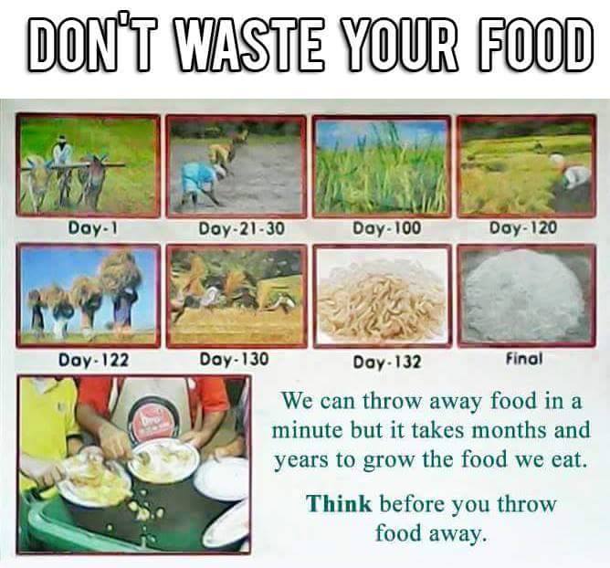 waste no food
