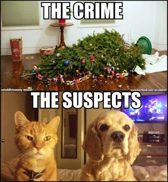 Christmas tree attack pets
