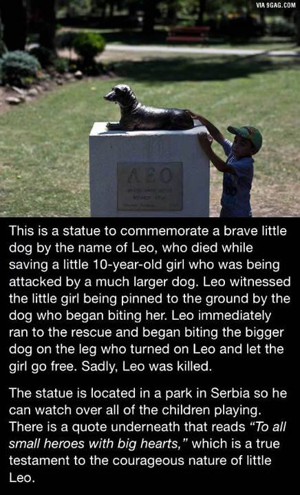 dog hero statue