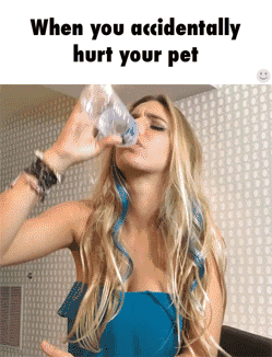 hurting your pet