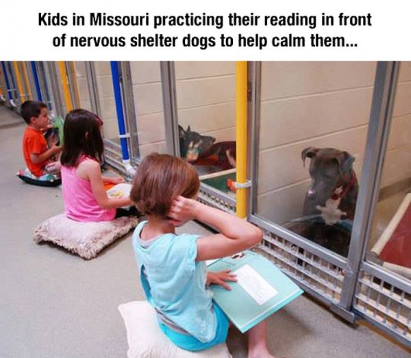 kids read to shelter dogs
