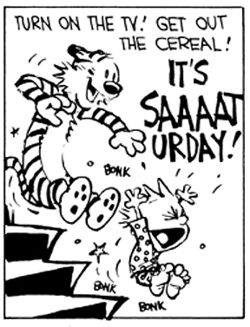 Saturday - Calvin Hobbes