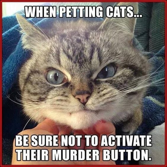 petting cats - murder button