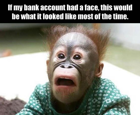 bank account monkey face