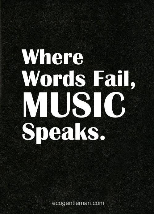 where words fail music speaks