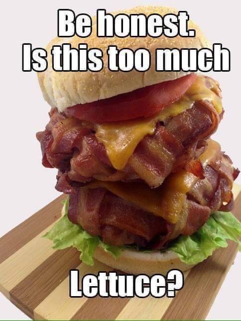 hamburger-too-much-lettuce