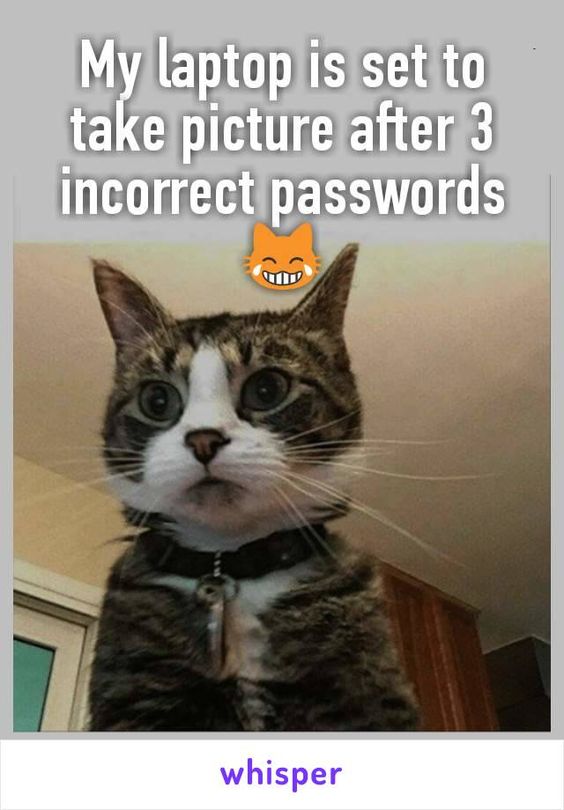 laptop-picture-password-cat
