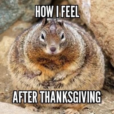 how-i-feel-after-thanksgiving