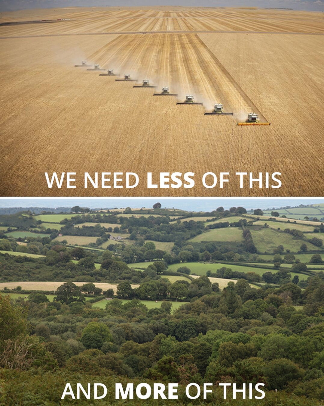 https://englishblogmmg.edublogs.org/files/2022/07/we-need-less-more-agriculture.jpg